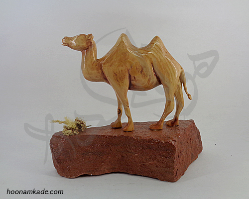 شتر دو کوهانه طرح وقار