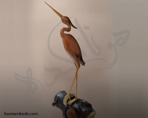 حواصیل طرح شکوه