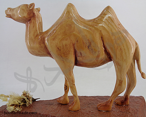 شتر دو کوهانه طرح وقار