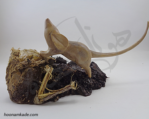 موش طرح بازیگوش